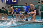 Swimming & Diving vs Babson  Swimming & Diving vs Babson College. - Photo by Keith Nordstrom : Wheaton, Swimming